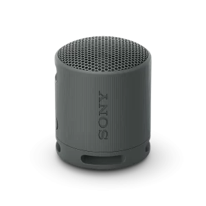 SONY SRS-XB100 comprar